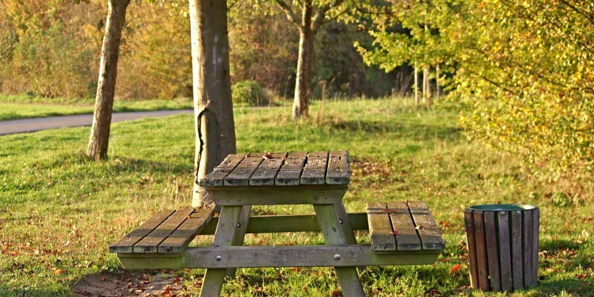 meletes-dasikis-anapsyxis2