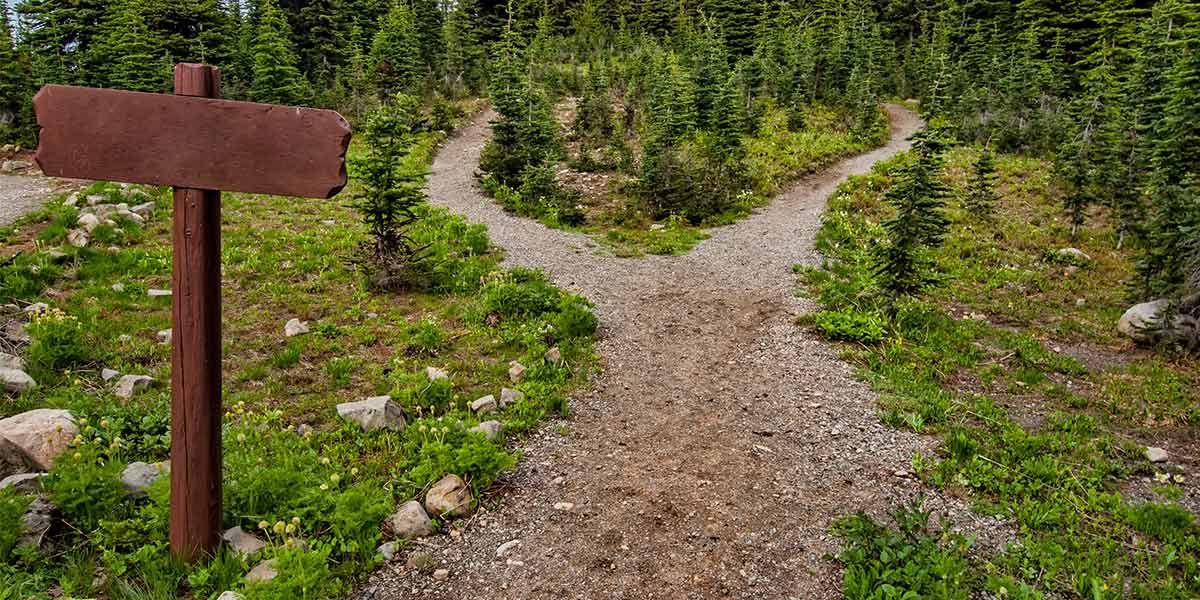 meletes-dasikis-anapsyxis2