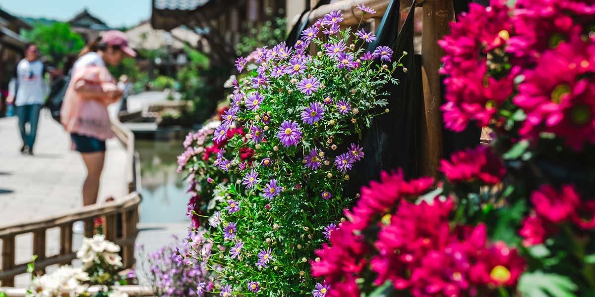 fytotexnikes-meletes3